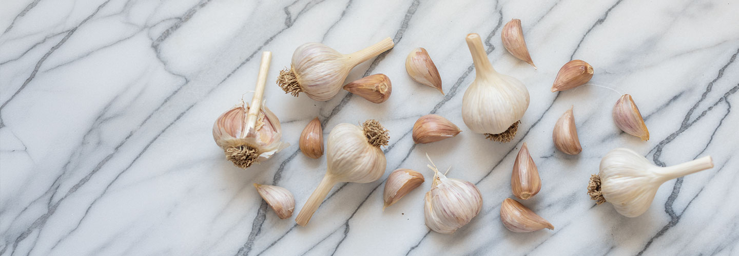 Seed Garlic