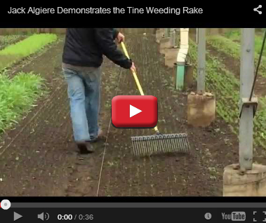 Jack Algiere - 21-inch Tine Weeding Rake