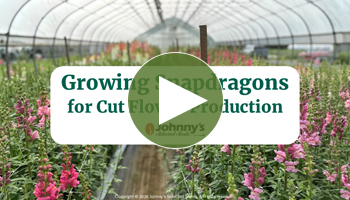 View Our Full Webinar Video