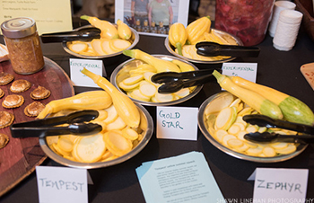 Johnny's-Bred Tempest and Zephyr summer squashes at the CBN Variety Showcase