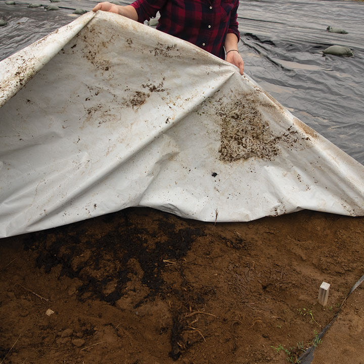 Silage tarp covering soil