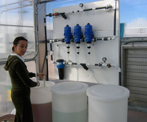 Fertigation workshop at UA-CEAC Fertigation workshop at UA-CEAC