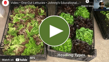 View the full 90-minute video of our One-Cut Lettuces Webinar