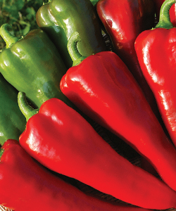 Carmen Pepper Carmen Pepper