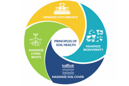 principles of soil health