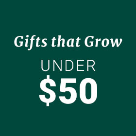 Gifts under $50