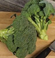 Monty Broccoli