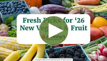 View Our Full Webinar Video