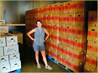 Cases of Cantaloupe for School Kids Cases of Cantaloupe for School Kids