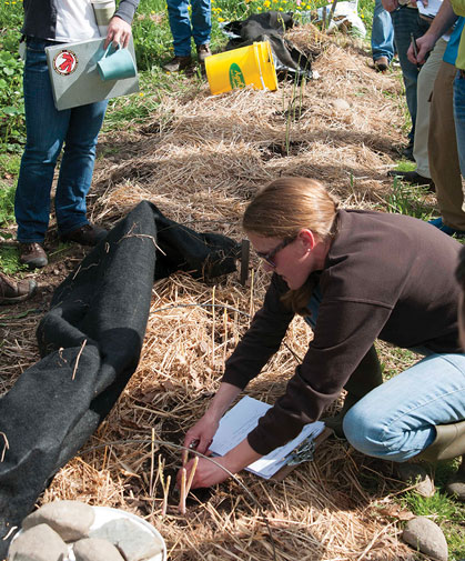 Johnny's asparagus product tech demonstrates best practices for asparagus bed preparation.