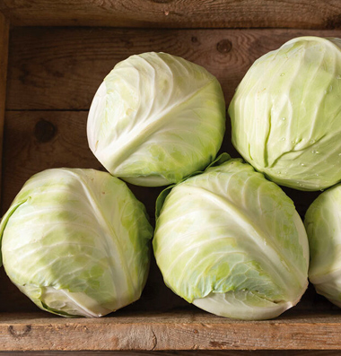 https://www.johnnyseeds.com/on/demandware.static/-/Library-Sites-JSSSharedLibrary/default/dw25863766/images/articles/methodology/harvesting-post-harvest-handling-storage/promise-storage-cabbage-380x397.jpg