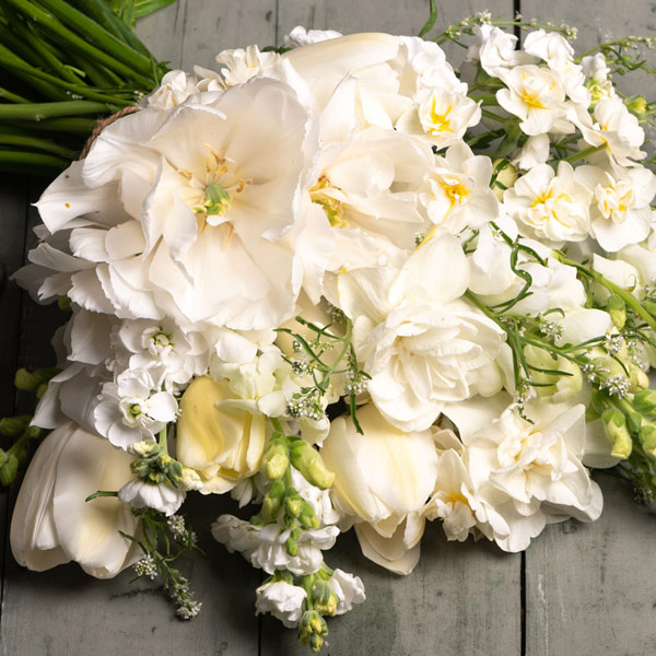 Shop WHITE Flowers