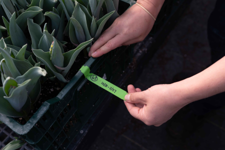 labels on bulb crates