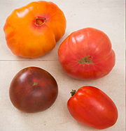 Heirloom Tomato Collection