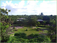 View of the circle, from above