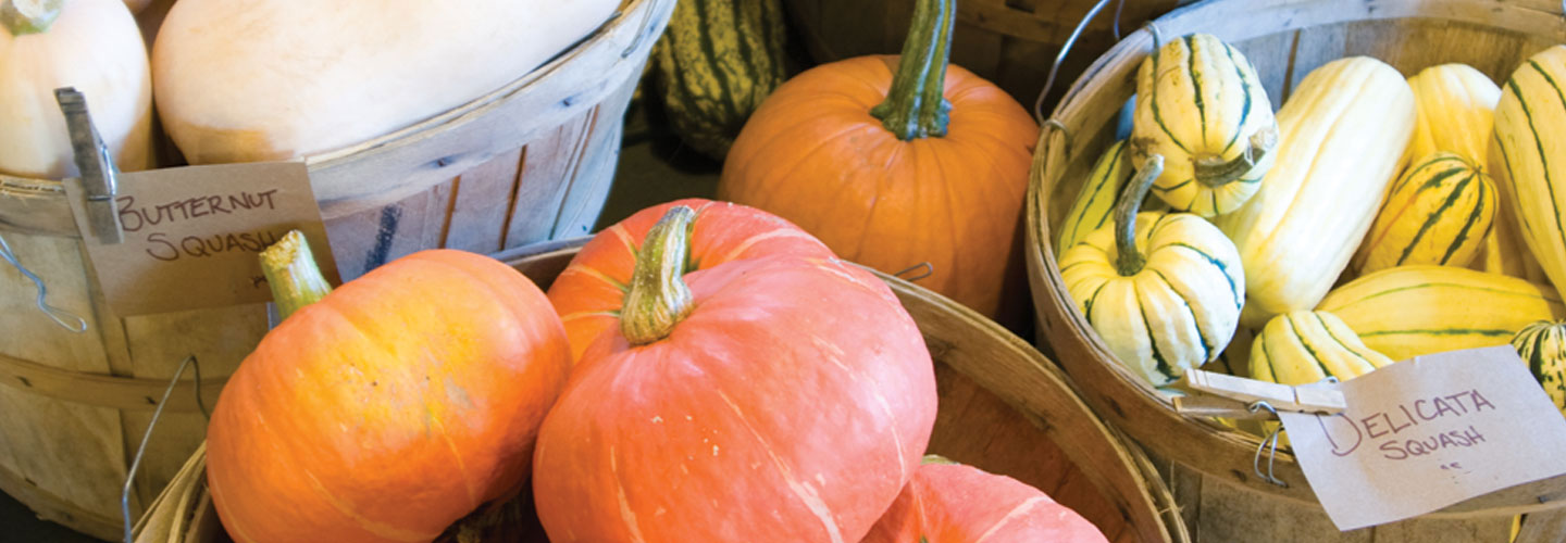 Squash