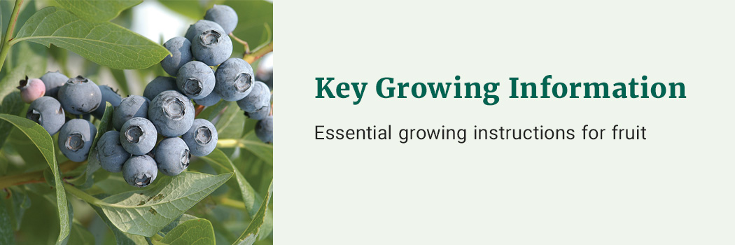 Key Growing Information: essential growing information for fruits