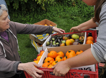 Community Harvest