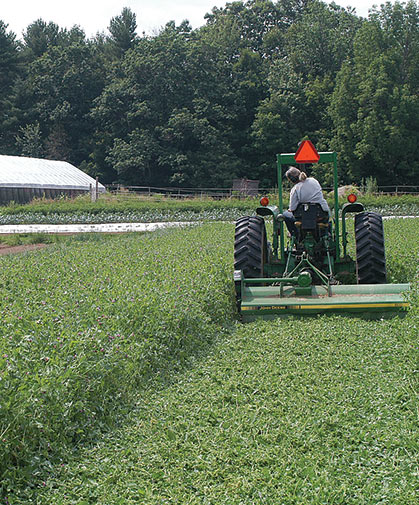 Green manures are specific plants, crop varieties, or mixes that are grown and turned into the soil to improve overall quality, particularly fertility and tilth.