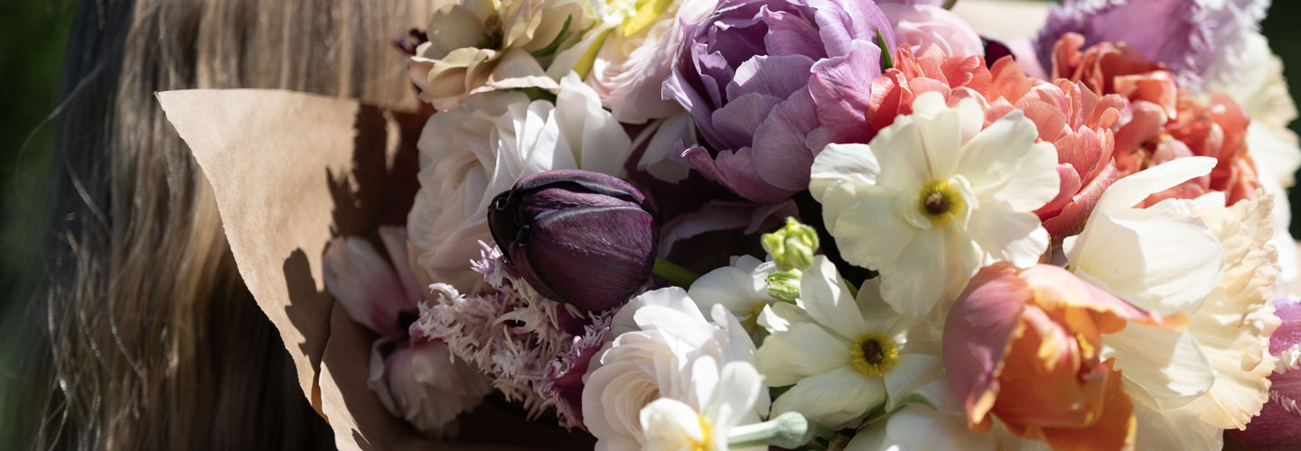 Fall Bulbs