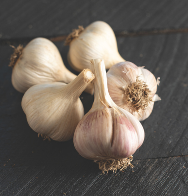 German Extra Hardy Garlic