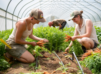 Johnny's Research Farm in Albion, Maine