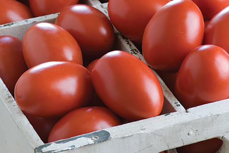 Granadero Tomato