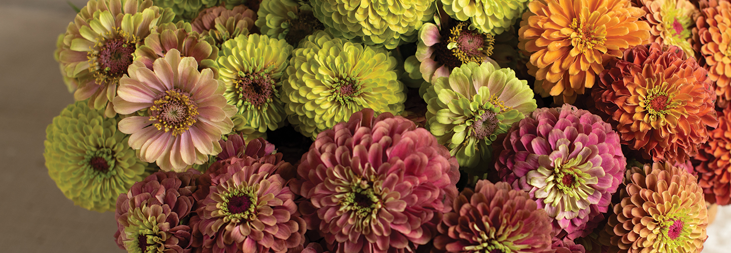 Johnny’s Selected Seeds Supporting Farms & Gardens Since 1973