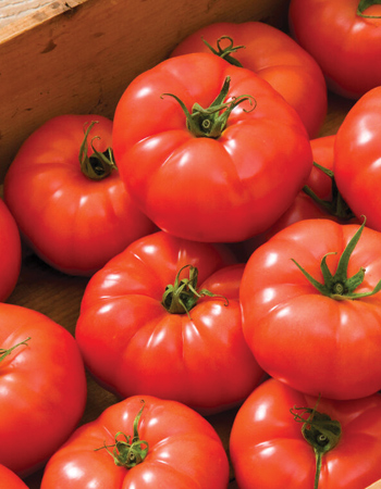 Rebelski = Best All-Round Greenhouse Tomato