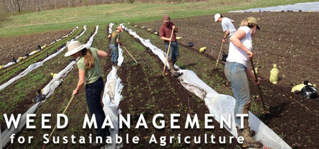 Provider Farm, Salem, Connecticut