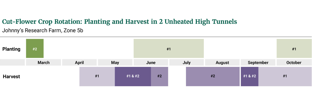 crop rotations between two cut-flower tunnels at the Johnny's Research Farm