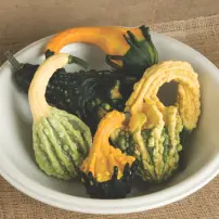 Autumn Wings Blend