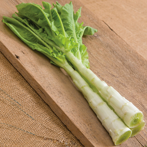 'Spring Tower' Celtuce