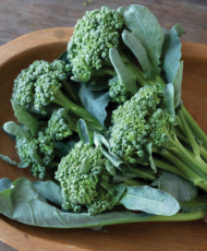 De Cicco mini broccoli