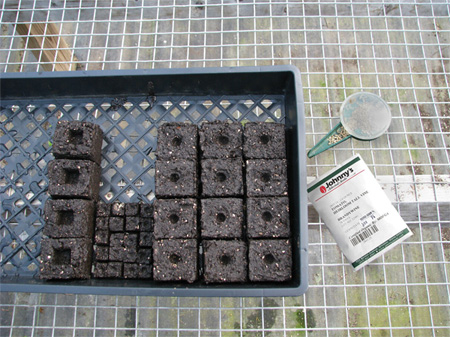 Soil blocks of varying sizes will accommodate a range of crops at different stages of growth.