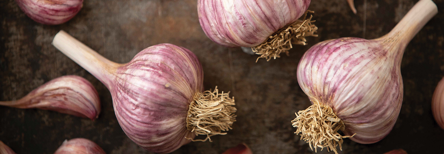 bunch of garlic
