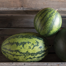 How to Grow Watermelons