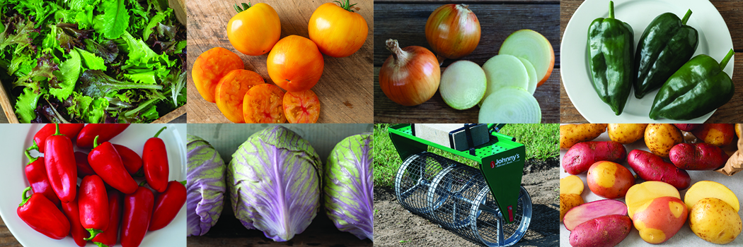 assorted gardening products and seed varieties