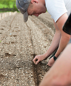 Safe Seed Pledge