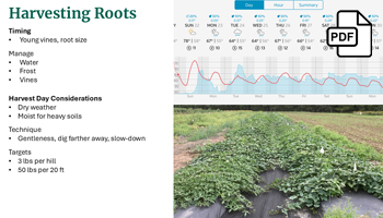 Remarkable Roots Webinar Slide Deck PDF
