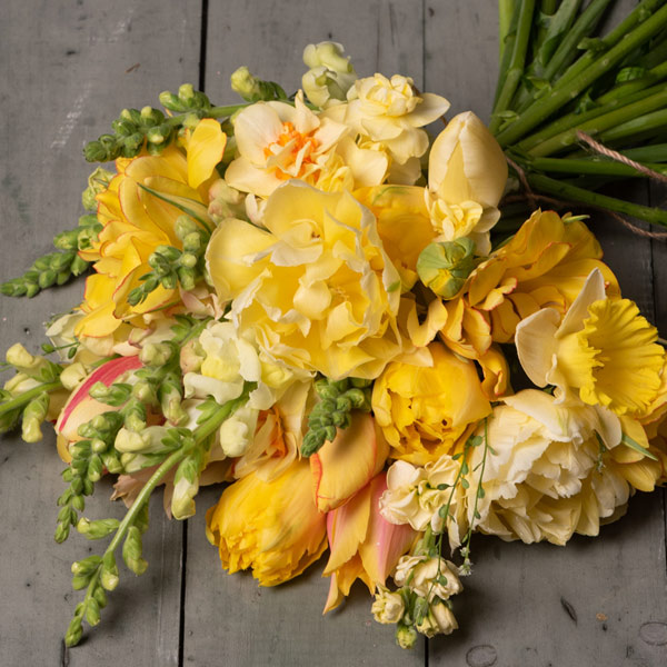 Shop LIGHT YELLOW Flowers