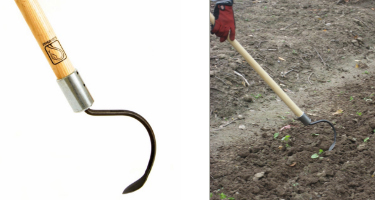 CobraHead Precision Weeder