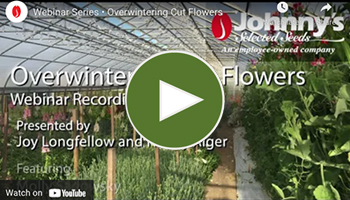 View the full  Overwinter Flower Webinar • VIDEO
