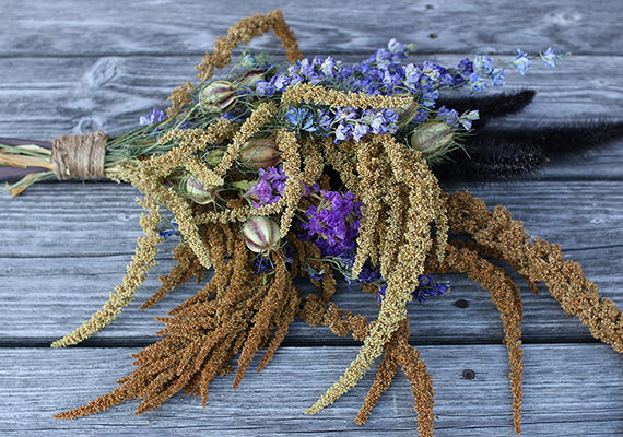 Amaranth, larkspur, nigella, and statice