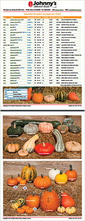 Pumpkin Varieties Chart