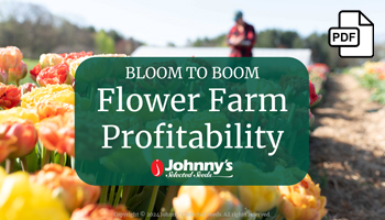Bloom to Boom: Flower Farm Profitability Webinar Slide Deck PDF