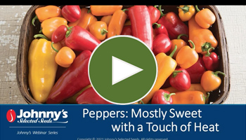 View Our Full Pepper Webinar Video