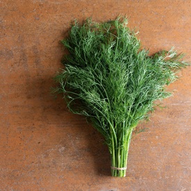 Dill