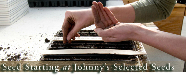 Seed-starting at Johnny's - Learn 3 systems for indoor, professional-quality seedling production.
