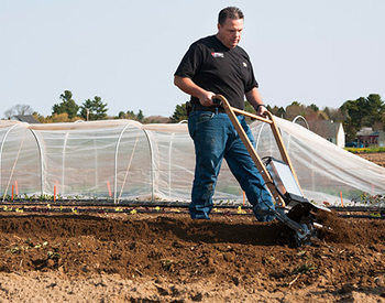 Tilling or Broadforking the Soil is the 3rd step...